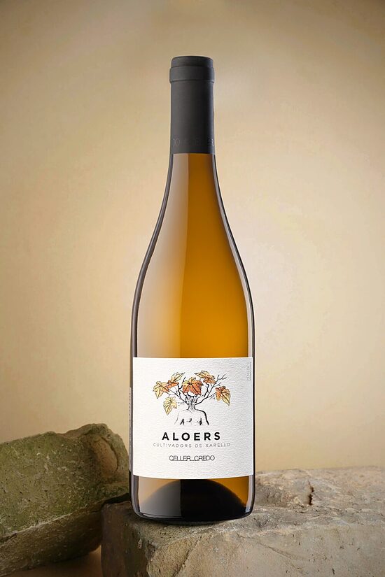 Aloers de Recaredo