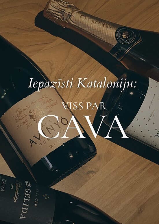 Discover Catalonia: All about CAVA 