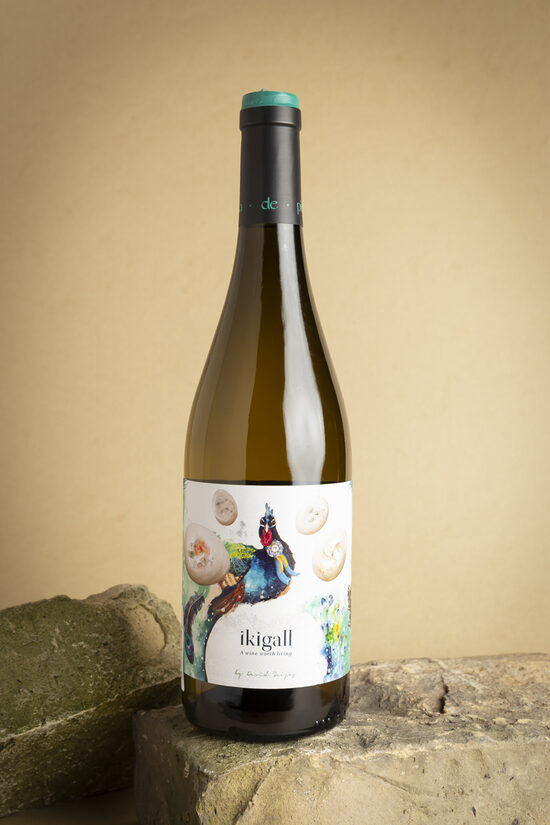 Ikigall Penedès