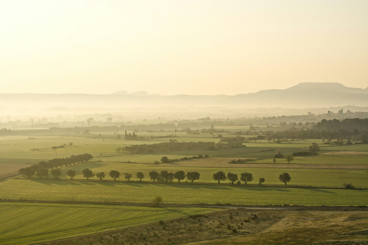 plain fields in the emporda wine region