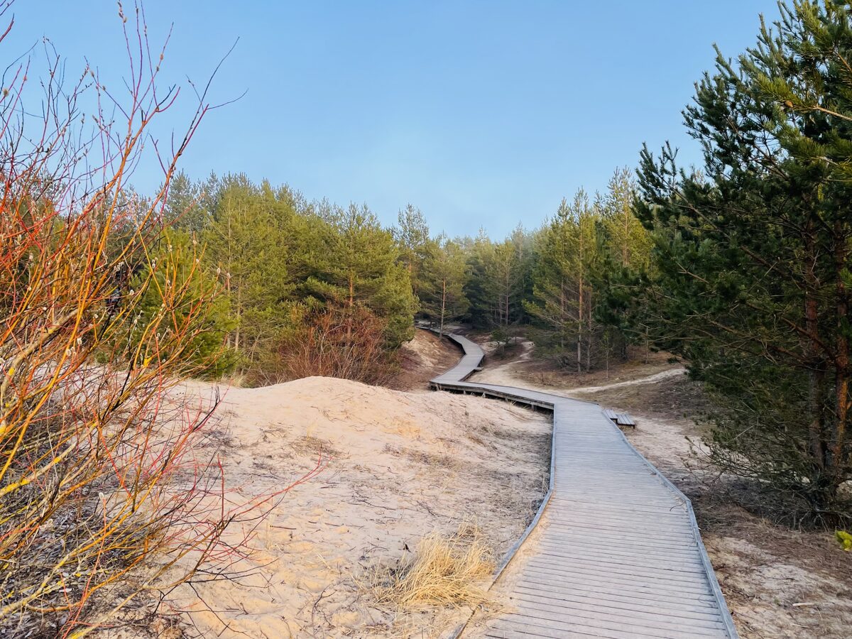 beach pathway in lilaste beach latvia